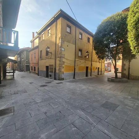 The Blue Nest - Vut7693as Χιχόν