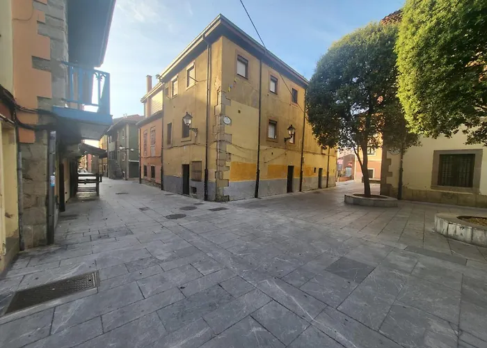 The Blue Nest - Vut7693as Χιχόν