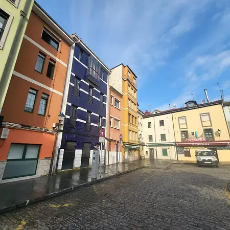 The Blue Nest - Vut7693as