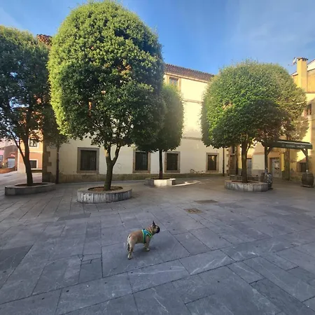 The Blue Nest - Vut7693as Gijón